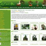 caycanhdoc.com 150x150 - Game Chú Khỉ Buồn Giáng Sinh – game trí tuệ giải trí mùa Noel