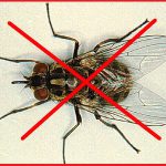 contrungviet net 150x150 - Diệt côn trùng - Dịch vụ diệt côn trùng - Diệt côn trùng chuyên nghiệp - cách diệt côn trùng - Giới thiệu website mới