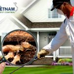 dietmoivietnam com 150x150 - Thám tử tư - Dịch vụ thám tử tư - Văn phòng thám tử - Thám tử chuyên nghiệp - Giới thiệu website mới