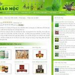 thaomoc.vn 150x150 - Thảo mộc, thảo dược, nhân sâm, linh chi, đông trùng hạ thảo - Giới thiệu website mới